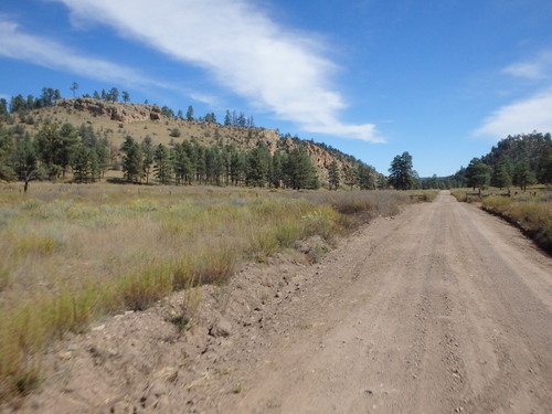 GDMBR: Cycling north on NF-28, La Jolla Canyon, Gila NF, NM.